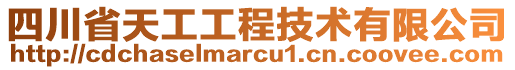 四川省天工工程技術有限公司