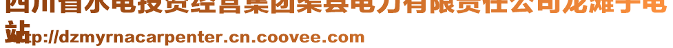 四川省水電投資經(jīng)營(yíng)集團(tuán)渠縣電力有限責(zé)任公司龍灘子電
站