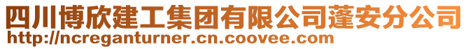 四川博欣建工集團(tuán)有限公司蓬安分公司