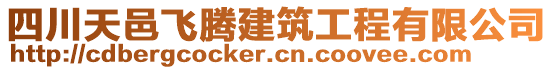 四川天邑飛騰建筑工程有限公司