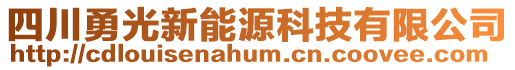 四川勇光新能源科技有限公司