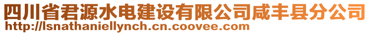 四川省君源水電建設(shè)有限公司咸豐縣分公司