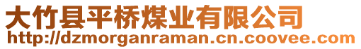 大竹縣平橋煤業(yè)有限公司