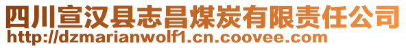 四川宣漢縣志昌煤炭有限責(zé)任公司