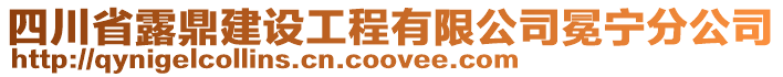 四川省露鼎建設(shè)工程有限公司冕寧分公司