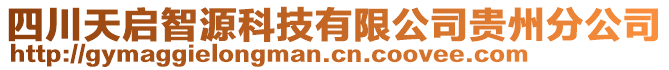 四川天啟智源科技有限公司貴州分公司