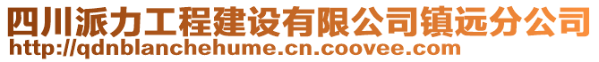 四川派力工程建設有限公司鎮(zhèn)遠分公司