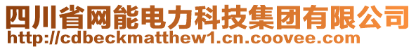 四川省網(wǎng)能電力科技集團(tuán)有限公司