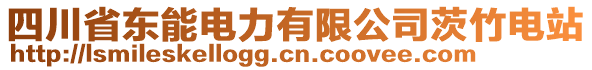 四川省東能電力有限公司茨竹電站