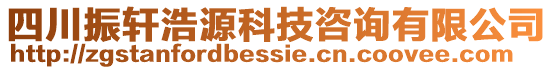 四川振軒浩源科技咨詢有限公司