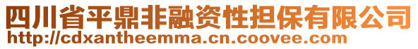 四川省平鼎非融資性擔(dān)保有限公司