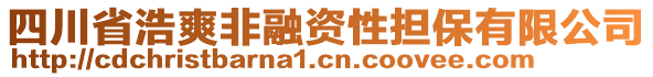 四川省浩爽非融資性擔(dān)保有限公司