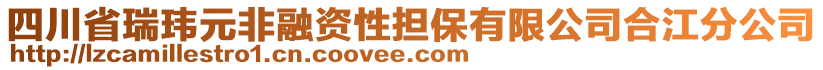 四川省瑞瑋元非融資性擔(dān)保有限公司合江分公司