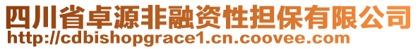 四川省卓源非融資性擔(dān)保有限公司