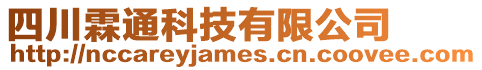 四川霖通科技有限公司