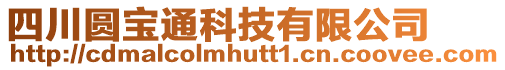 四川圓寶通科技有限公司