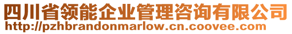 四川省領(lǐng)能企業(yè)管理咨詢有限公司