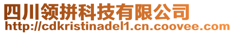 四川領(lǐng)拼科技有限公司