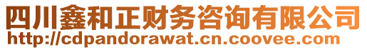 四川鑫和正財(cái)務(wù)咨詢有限公司