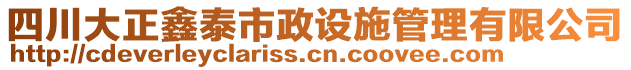 四川大正鑫泰市政設施管理有限公司