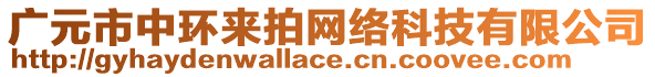 廣元市中環(huán)來(lái)拍網(wǎng)絡(luò)科技有限公司