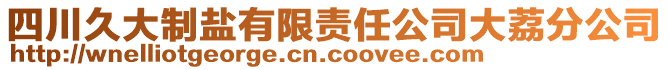 四川久大制鹽有限責任公司大荔分公司