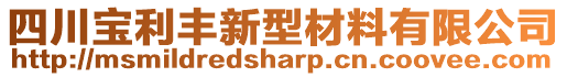 四川寶利豐新型材料有限公司