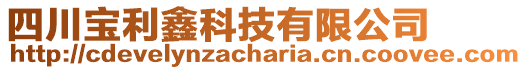 四川寶利鑫科技有限公司