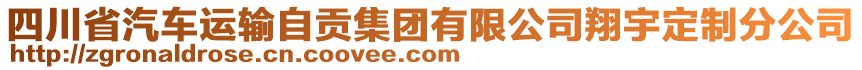 四川省汽車運輸自貢集團有限公司翔宇定制分公司