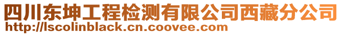 四川東坤工程檢測有限公司西藏分公司