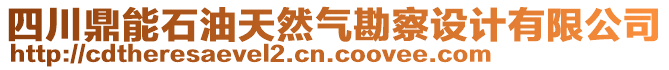 四川鼎能石油天然氣勘察設(shè)計(jì)有限公司