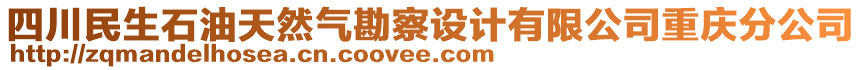 四川民生石油天然氣勘察設(shè)計(jì)有限公司重慶分公司