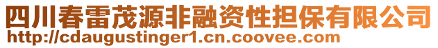 四川春雷茂源非融資性擔(dān)保有限公司