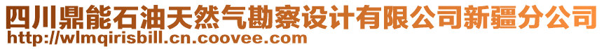 四川鼎能石油天然氣勘察設(shè)計有限公司新疆分公司