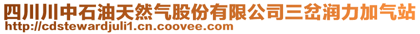 四川川中石油天然氣股份有限公司三岔潤力加氣站