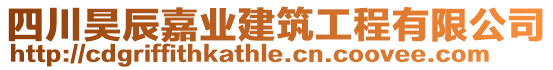 四川昊辰嘉業(yè)建筑工程有限公司