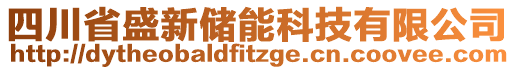 四川省盛新儲(chǔ)能科技有限公司