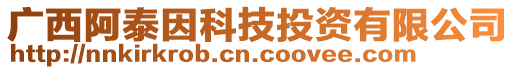 廣西阿泰因科技投資有限公司