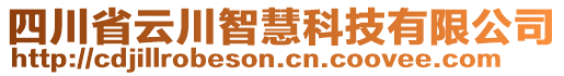 四川省云川智慧科技有限公司