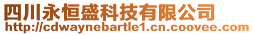 四川永恒盛科技有限公司