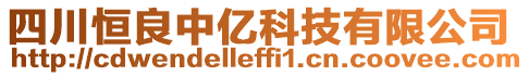 四川恒良中億科技有限公司