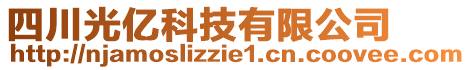 四川光億科技有限公司