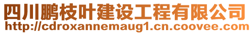 四川鵬枝葉建設工程有限公司