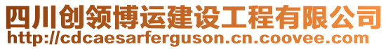 四川創(chuàng)領博運建設工程有限公司