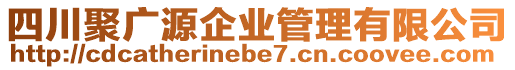 四川聚廣源企業(yè)管理有限公司