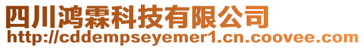 四川鴻霖科技有限公司