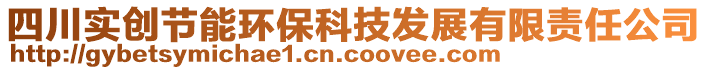 四川實創(chuàng)節(jié)能環(huán)保科技發(fā)展有限責任公司