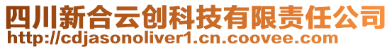 四川新合云創(chuàng)科技有限責(zé)任公司