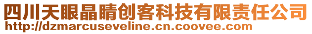 四川天眼晶睛創(chuàng)客科技有限責(zé)任公司