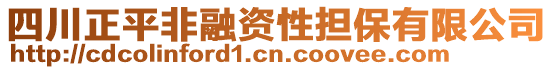 四川正平非融資性擔保有限公司